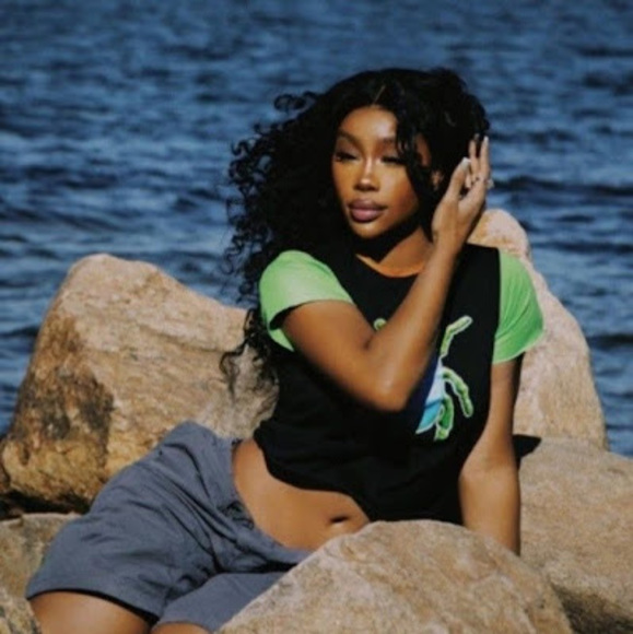 Meet your Posher, Pig - Picture 1 of 1